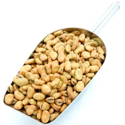 Egyptian love fava beans