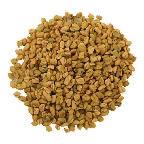 حلبة هندي