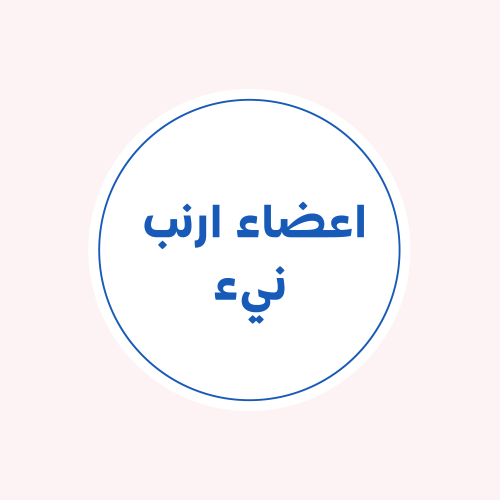 اعضاء الارنب ( قلب - كبد - كلى - رئة - قانصة ( عضو...