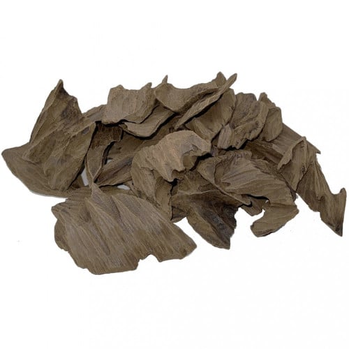 ربع تشار فيتنامي محسن