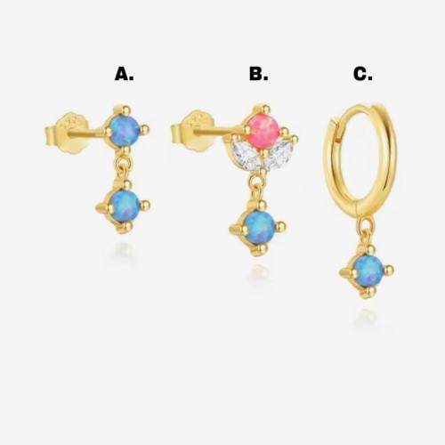 Stainless Steel Surgical Earrings