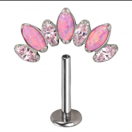 حلق تيتانيوم للأذن - 16G Titanium Ear PIercing