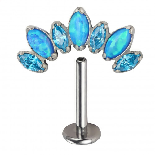 حلق تيتانيوم للأذن - 16G Titanium Ear PIercing
