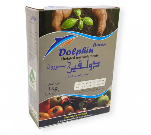 دولفين بورون