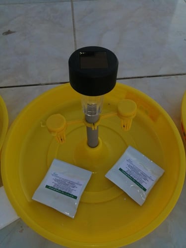 مصيدة ضوئية مائية فرمونية للتوتا ابسلوتا مع الفيرم...