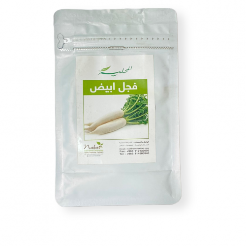 بذور فجل ابيض مصري