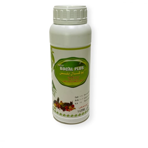 نيو بوكال بلس