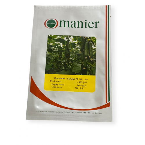 بذور خيار محمي هجين صيفي مبكر ( لينا )