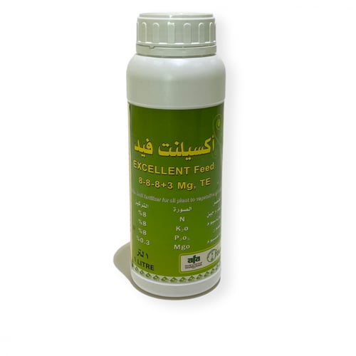 اكسيلنت فيد 8-8-8