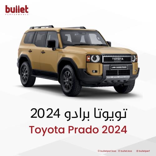 Land Cruiser Prado catback 2024