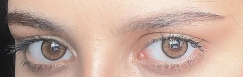 عدسات فلتر نظر