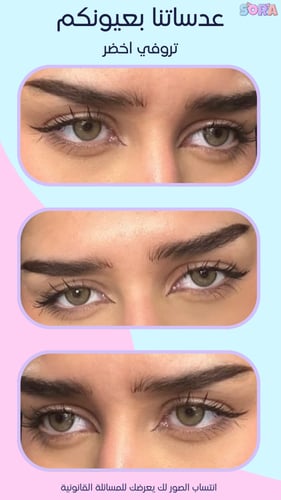 تروفي اخضر نظر