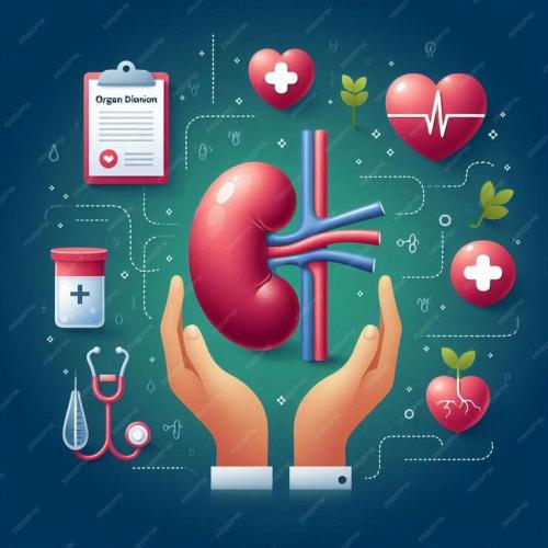 باقة صحة الكلى