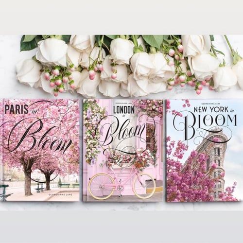 كتاب نيويورك بلوم كتاب بصور جمليه من مدينة نيويورك...