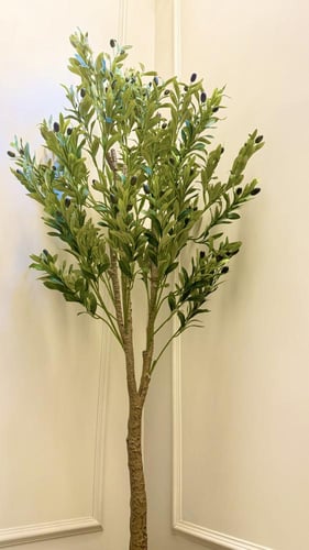 شجرة الزيتون ( زينة )