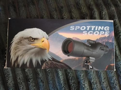 دربيل الصقر