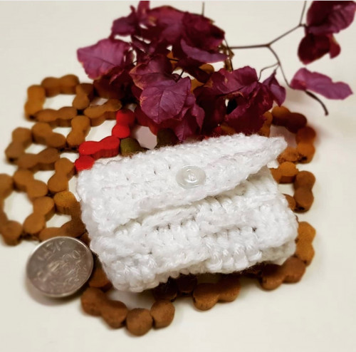 موديل محفظة عملات