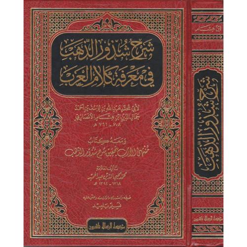 شرح شذور الذهب في معرفة كلام العرب