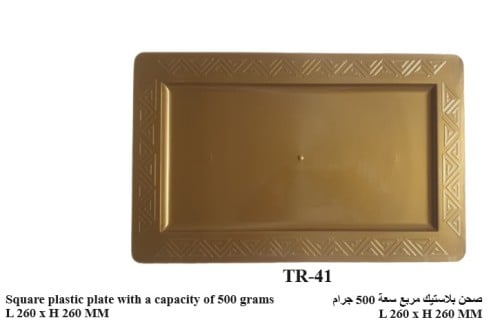 صحن بلاستيك مربع سعة 500 جرام TR-41-GOLD (16868)
