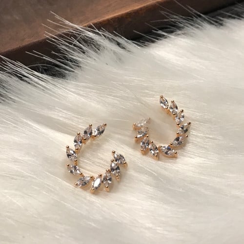 حلق فضي وذهبي