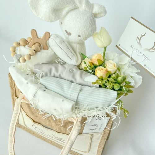 حقيبة ألفريدو