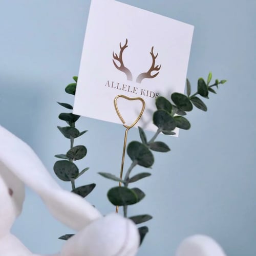 سلة برنس 3