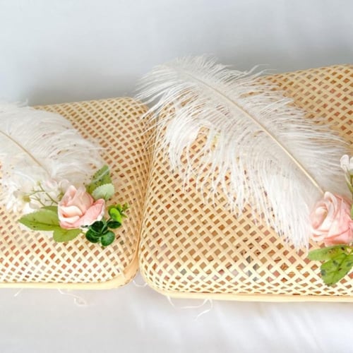 بوكس فرانسيس 2