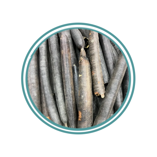 خيار الشمبر