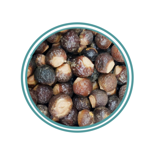 عشبة ريتا أو الريثا
