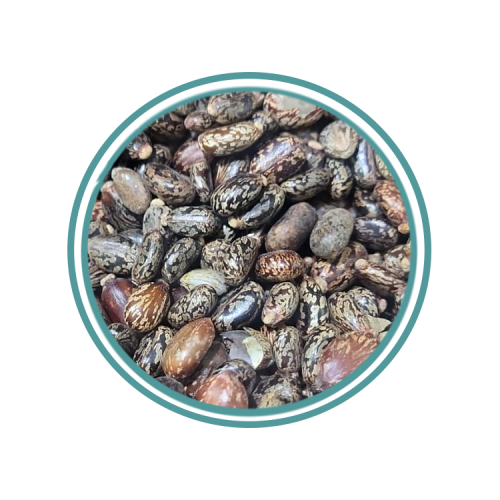 حب الخروع 250جرم