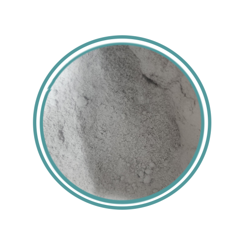 الودعة - أحجار الأصداف والقواقع البحرية مطحون