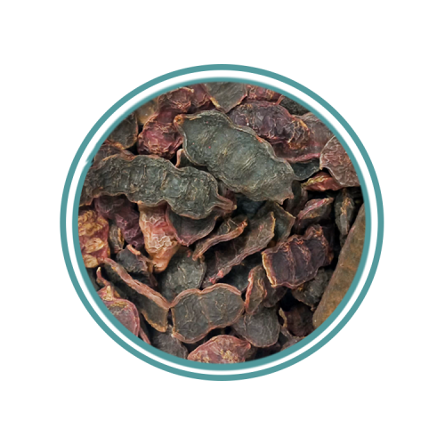 عشبة الشكاكاي