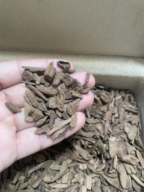 موروكي دقة فصفص سوبر مرتفع