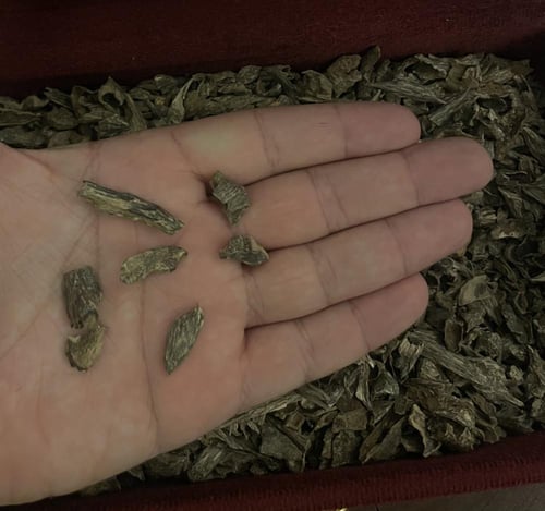 كودي موري هندي