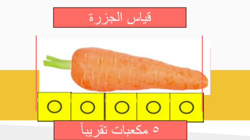 أربع دروس من الوحدة ١١