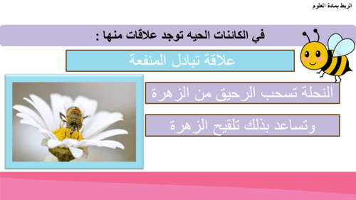 الوحدة الثالثة :طرائق الطرح