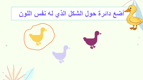 عروض الوحدة الأولى