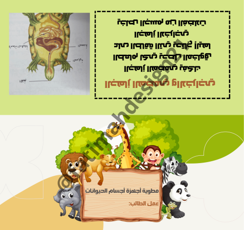 مطوية علوم الصف الرابع أجهزة الحيوانات تحميل pdf