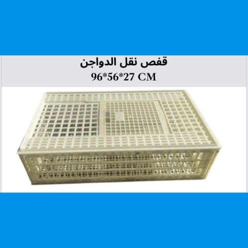 شبك نقل الطيور