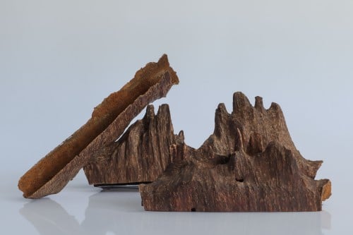 بوتان هندي طبيعي