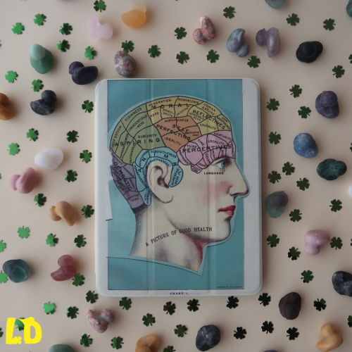 غلاف ايباد عقل الانسان | Human Brain iPad Case
