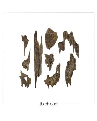 سيوفي فتنامي غابات دبل سوبر حجم ميني