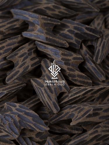 عود كمبودي تايقر 1