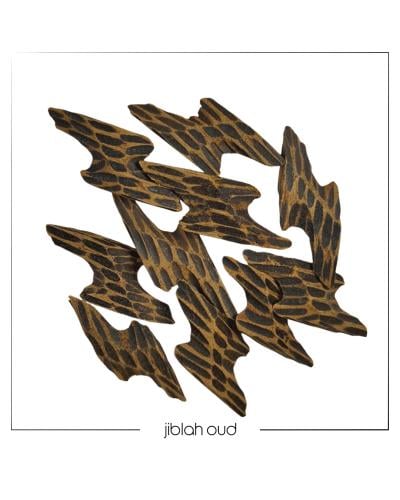 عود تايقر كمبودي - الملكي الاصلي بافضل سعر