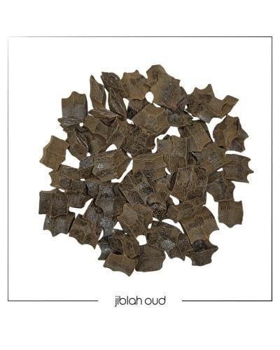 عود الفراشة المروكيه. رقم 2