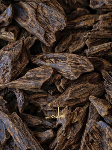 كلمنتان بيت النمل سوبر