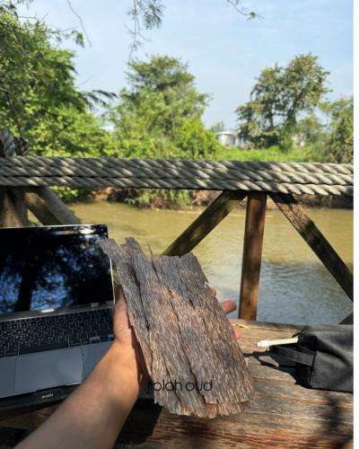 رقائق فيتنامي بوجهين ( أعلى درجة )