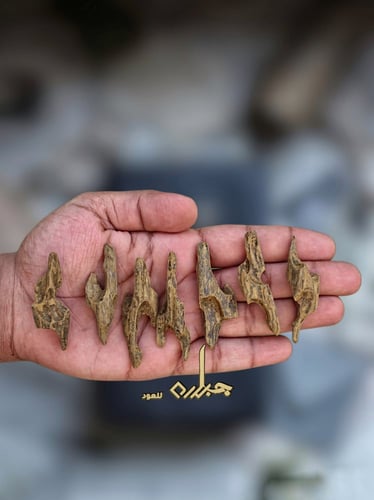 كلمنتان بنتلي