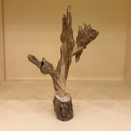 ديكور عود طبيعي