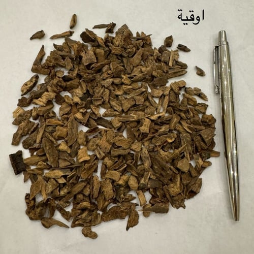 دقة عود فلبيني ليتي اندرووتر